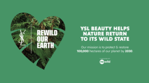 Partenariat YSL Beauté X Re:Wild